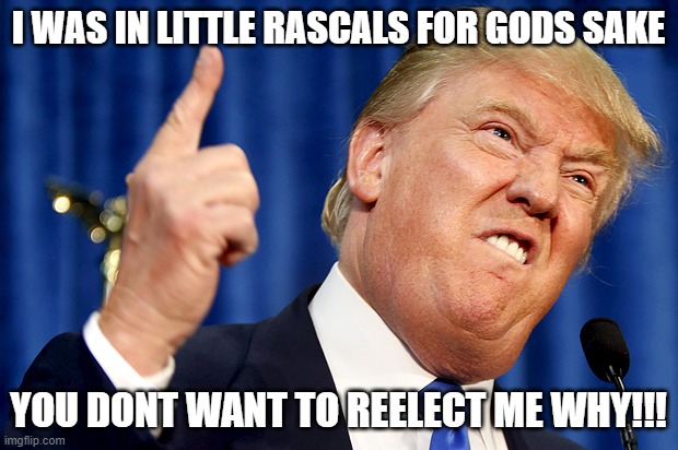 Donald Trump | I WAS IN LITTLE RASCALS FOR GODS SAKE; YOU DONT WANT TO REELECT ME WHY!!! | image tagged in donald trump | made w/ Imgflip meme maker