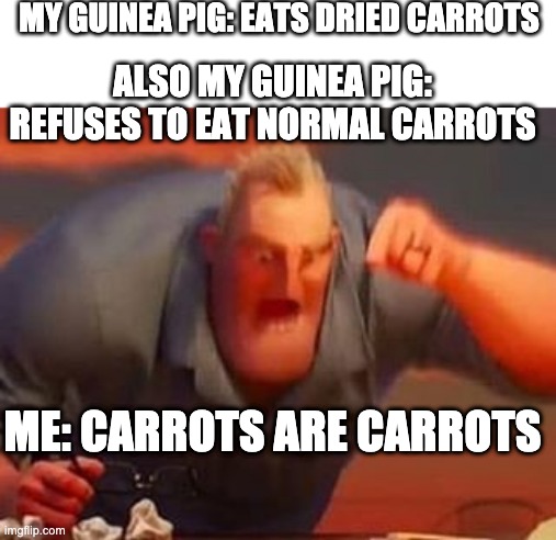 Omg carrots are carrots | MY GUINEA PIG: EATS DRIED CARROTS; ALSO MY GUINEA PIG: REFUSES TO EAT NORMAL CARROTS; ME: CARROTS ARE CARROTS | image tagged in mr incredible mad | made w/ Imgflip meme maker