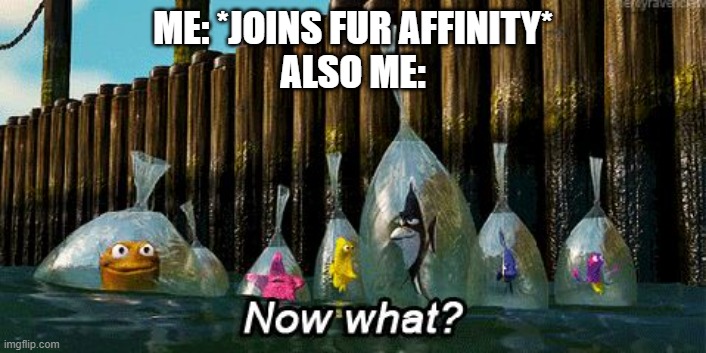 Now What? | ME: *JOINS FUR AFFINITY*
ALSO ME: | image tagged in now what | made w/ Imgflip meme maker