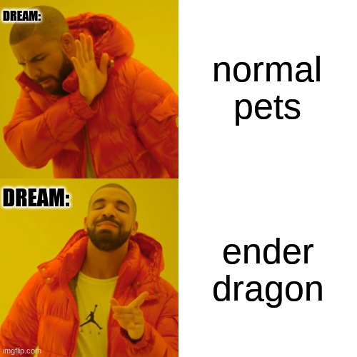 Drake Hotline Bling | normal pets; DREAM:; DREAM:; ender dragon | image tagged in memes,drake hotline bling,dream,never gonna give you up,never gonna let you down,never gonna run around | made w/ Imgflip meme maker