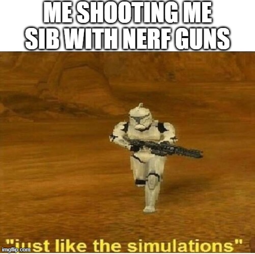 Nerf gunns | ME SHOOTING ME SIB WITH NERF GUNS | image tagged in just like the simulations | made w/ Imgflip meme maker