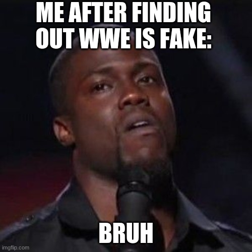 lol | ME AFTER FINDING OUT WWE IS FAKE:; BRUH | image tagged in funny meme | made w/ Imgflip meme maker