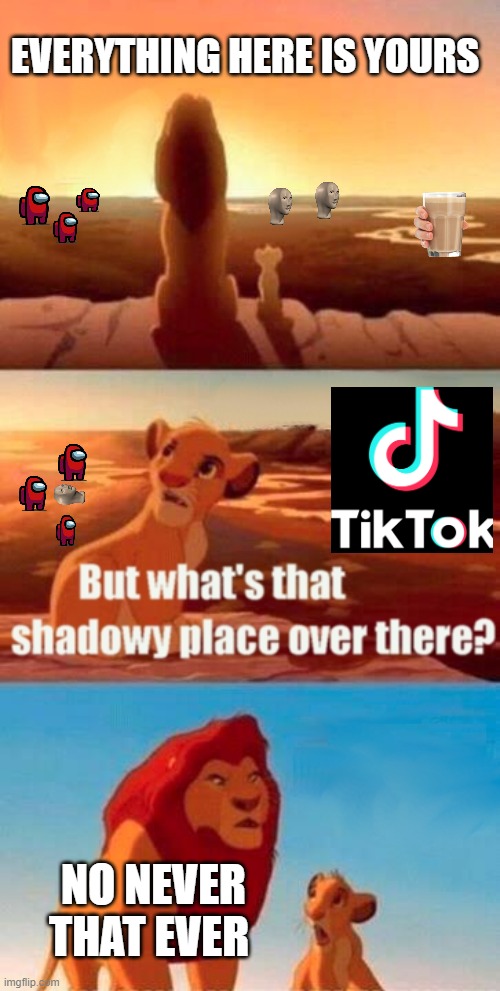 Simba Shadowy Place | EVERYTHING HERE IS YOURS; NO NEVER THAT EVER | image tagged in memes,simba shadowy place | made w/ Imgflip meme maker