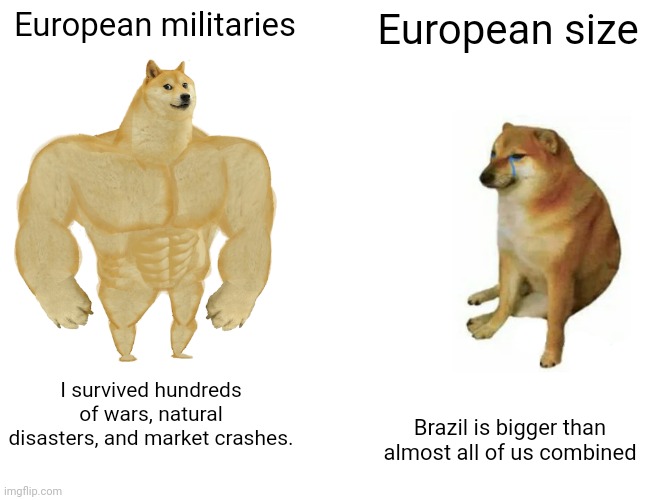 Buff Doge vs. Cheems | European militaries; European size; I survived hundreds of wars, natural disasters, and market crashes. Brazil is bigger than almost all of us combined | image tagged in memes,buff doge vs cheems | made w/ Imgflip meme maker