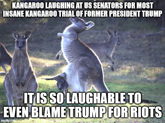 Trumps Kangaroo Court Trial for no evidence | KANGAROO LAUGHING AT US SENATORS FOR MOST INSANE KANGAROO TRIAL OF FORMER PRESIDENT TRUMP; IT IS SO LAUGHABLE TO EVEN BLAME TRUMP FOR RIOTS | image tagged in kangaroo,scam trial,donald trump,democrats,republicans | made w/ Imgflip meme maker