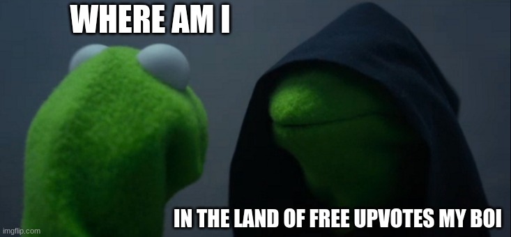 Evil Kermit | WHERE AM I; IN THE LAND OF FREE UPVOTES MY BOI | image tagged in memes,evil kermit | made w/ Imgflip meme maker