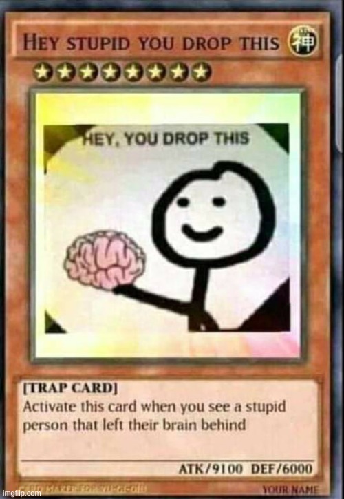 Hey stupid you drop this | image tagged in hey stupid you drop this | made w/ Imgflip meme maker