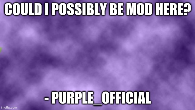 Can i be mod- |  COULD I POSSIBLY BE MOD HERE? - PURPLE_OFFICIAL | image tagged in blank purple | made w/ Imgflip meme maker