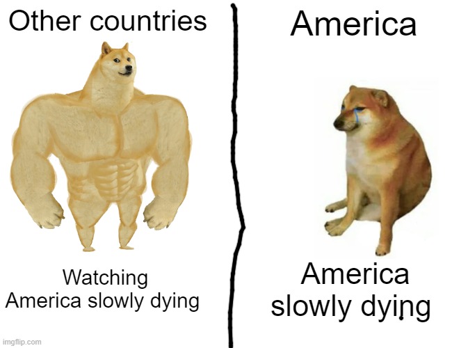 America is dying |  Other countries; America; Watching America slowly dying; America slowly dying | image tagged in memes,buff doge vs cheems | made w/ Imgflip meme maker