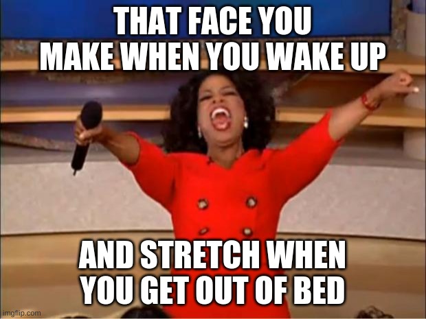 Oprah You Get A | THAT FACE YOU MAKE WHEN YOU WAKE UP; AND STRETCH WHEN YOU GET OUT OF BED | image tagged in memes,oprah you get a | made w/ Imgflip meme maker