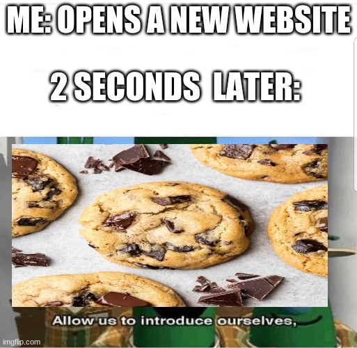 you will get it | ME: OPENS A NEW WEBSITE; 2 SECONDS  LATER: | image tagged in allow us to introduce ourselves,memes,relatable | made w/ Imgflip meme maker