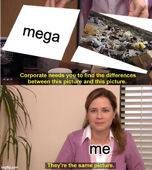 mega download storage is trash | mega; me | image tagged in memes,they're the same picture | made w/ Imgflip meme maker