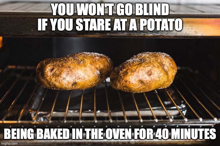 Potato in Oven | YOU WON'T GO BLIND IF YOU STARE AT A POTATO; BEING BAKED IN THE OVEN FOR 40 MINUTES | image tagged in oven,potato,memes | made w/ Imgflip meme maker