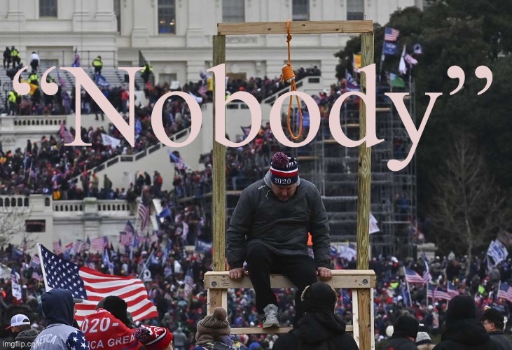 When “nobody” is actually a lot of somebodies | “Nobody” | image tagged in capitol hill riot gallows | made w/ Imgflip meme maker