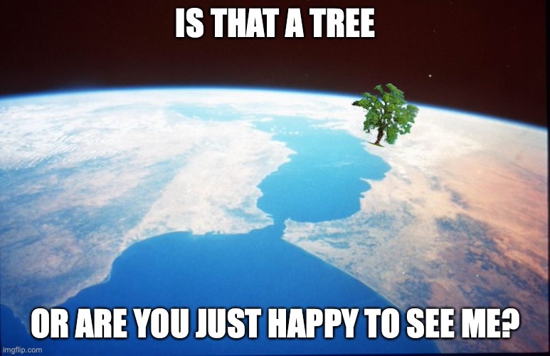Really Big Tree | IS THAT A TREE; OR ARE YOU JUST HAPPY TO SEE ME? | image tagged in tree,memes | made w/ Imgflip meme maker