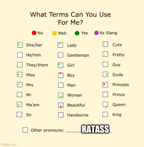 is it weird i consider myself a ratass- | RATASS | image tagged in pronouns sheet | made w/ Imgflip meme maker