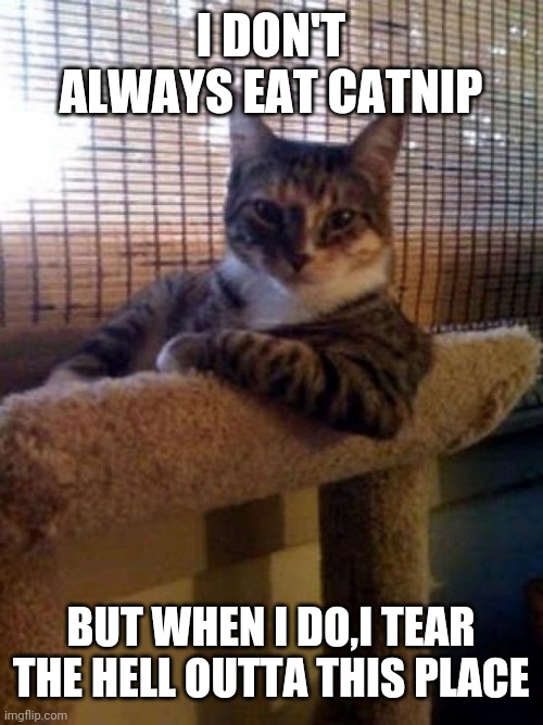 The Most Interesting Cat In The World | I DON'T ALWAYS EAT CATNIP; BUT WHEN I DO,I TEAR THE HELL OUTTA THIS PLACE | image tagged in memes,the most interesting cat in the world | made w/ Imgflip meme maker