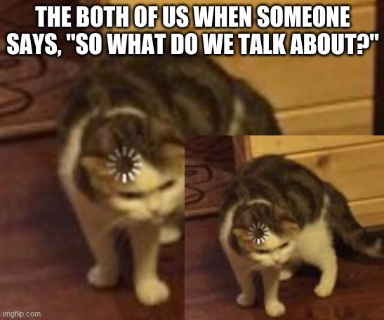 Accurate | THE BOTH OF US WHEN SOMEONE SAYS, "SO WHAT DO WE TALK ABOUT?" | image tagged in loading cat | made w/ Imgflip meme maker