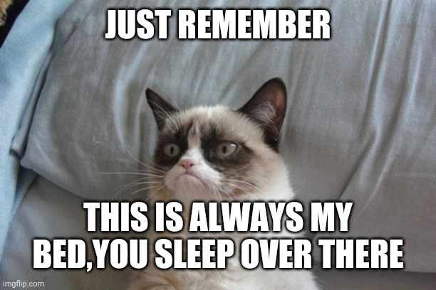 Grumpy Cat Bed | JUST REMEMBER; THIS IS ALWAYS MY BED,YOU SLEEP OVER THERE | image tagged in memes,grumpy cat bed,grumpy cat | made w/ Imgflip meme maker