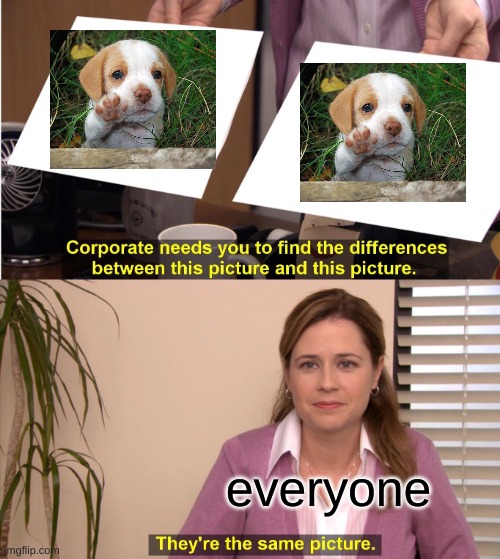 are they really? | everyone | image tagged in memes,they're the same picture,puppies,pup | made w/ Imgflip meme maker