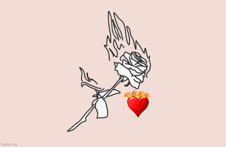 burning rose | image tagged in burning rose | made w/ Imgflip meme maker