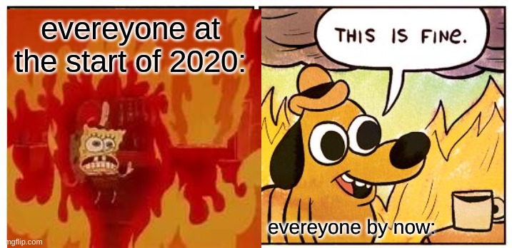 2020 | evereyone at the start of 2020:; evereyone by now: | image tagged in memes,this is fine | made w/ Imgflip meme maker