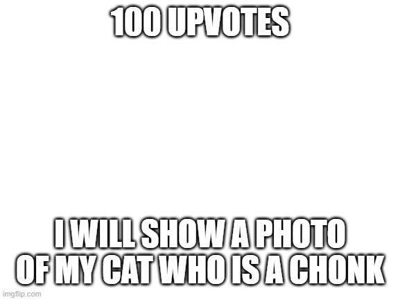 UPVOTE FOR IT | 100 UPVOTES; I WILL SHOW A PHOTO OF MY CAT WHO IS A CHONK | image tagged in blank white template | made w/ Imgflip meme maker