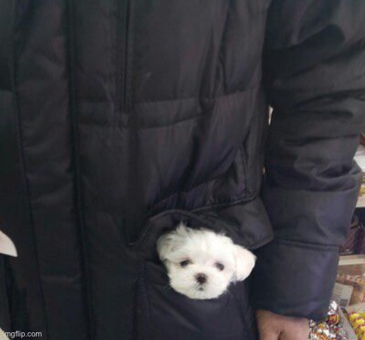 ajsiisjJsisiJzhjeisjznsjekzjnsnsnsnn- | made w/ Imgflip meme maker