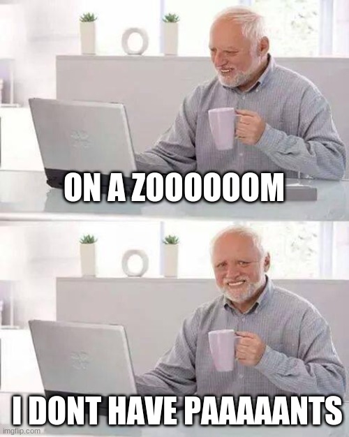 On a Zoom | ON A ZOOOOOOM; I DONT HAVE PAAAAANTS | image tagged in memes,hide the pain harold | made w/ Imgflip meme maker