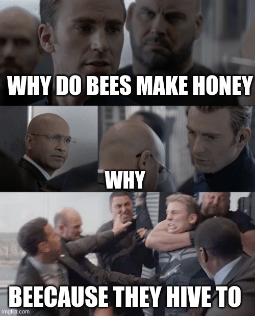 Captain america elevator | WHY DO BEES MAKE HONEY; WHY; BEECAUSE THEY HIVE TO | image tagged in captain america elevator | made w/ Imgflip meme maker