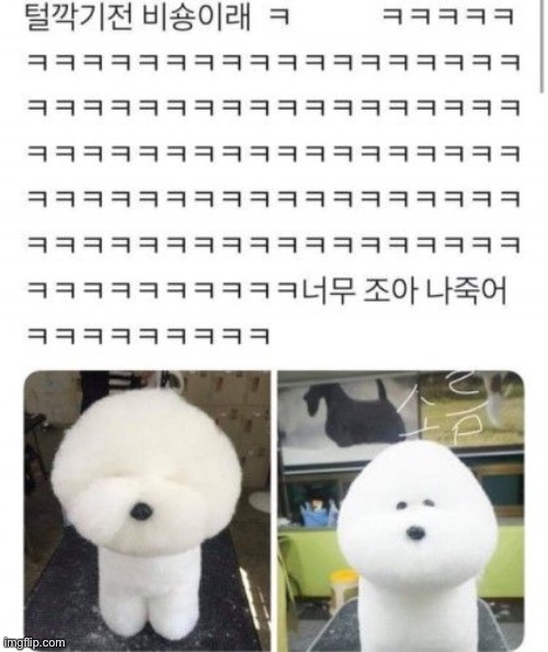 f l o o f | made w/ Imgflip meme maker