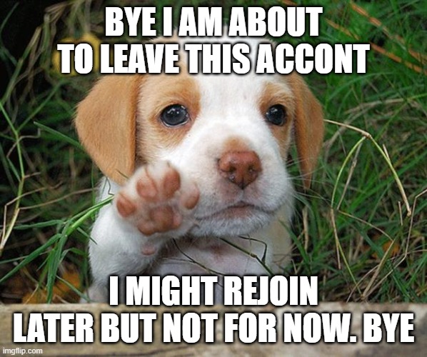 BYE yall | BYE I AM ABOUT TO LEAVE THIS ACCONT; I MIGHT REJOIN LATER BUT NOT FOR NOW. BYE | image tagged in dog puppy bye,bye | made w/ Imgflip meme maker
