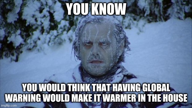 Cold |  YOU KNOW; YOU WOULD THINK THAT HAVING GLOBAL WARNING WOULD MAKE IT WARMER IN THE HOUSE | image tagged in cold | made w/ Imgflip meme maker