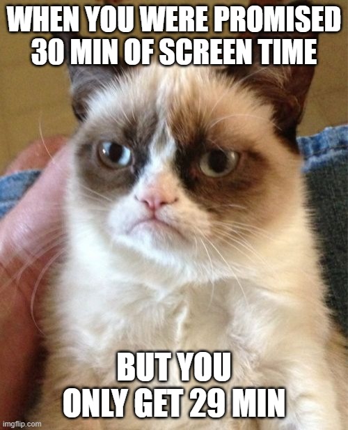 This is a cat meme because there is a cat in the meme (the cat is very grumpy) | WHEN YOU WERE PROMISED 30 MIN OF SCREEN TIME; BUT YOU ONLY GET 29 MIN | image tagged in memes,grumpy cat | made w/ Imgflip meme maker