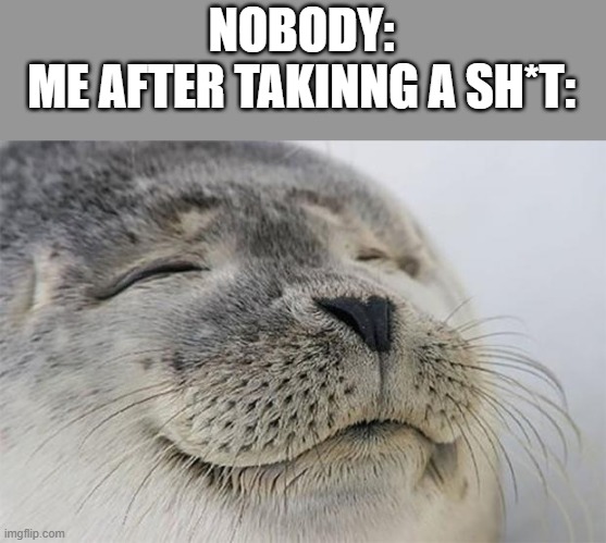 Should this be nsfw?? | NOBODY:

ME AFTER TAKINNG A SH*T: | image tagged in memes,satisfied seal | made w/ Imgflip meme maker