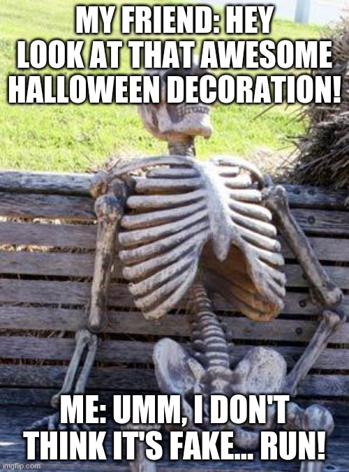 Waiting Skeleton | MY FRIEND: HEY LOOK AT THAT AWESOME HALLOWEEN DECORATION! ME: UMM, I DON'T THINK IT'S FAKE... RUN! | image tagged in memes,waiting skeleton | made w/ Imgflip meme maker