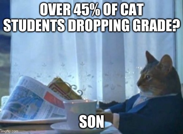 I Should Buy A Boat Cat | OVER 45% OF CAT STUDENTS DROPPING GRADE? SON | image tagged in memes,i should buy a boat cat | made w/ Imgflip meme maker