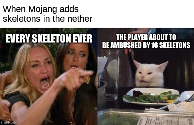 every skeleton ever | When Mojang adds skeletons in the nether; THE PLAYER ABOUT TO BE AMBUSHED BY 16 SKELETONS; EVERY SKELETON EVER | image tagged in memes,woman yelling at cat | made w/ Imgflip meme maker