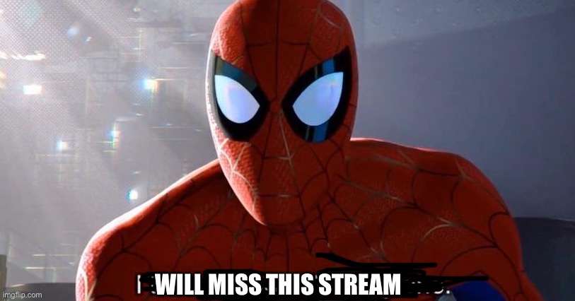 I will miss you | WILL MISS THIS STREAM | image tagged in mrs,idiot | made w/ Imgflip meme maker