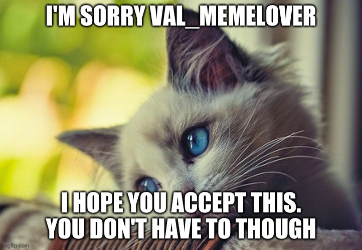 sorry cat | I'M SORRY VAL_MEMELOVER; I HOPE YOU ACCEPT THIS. YOU DON'T HAVE TO THOUGH | image tagged in sorry cat | made w/ Imgflip meme maker