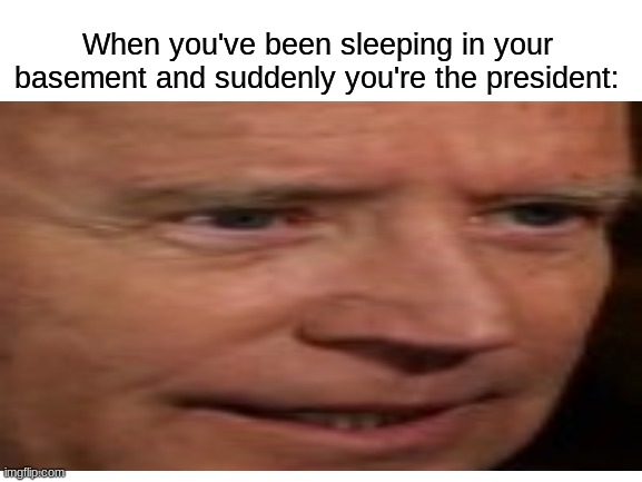 Huh what? I'm the president?! Yo Jill get me my walker, its time to go out and celebrate! | When you've been sleeping in your basement and suddenly you're the president: | image tagged in celebrity,joe biden,creepy joe biden,president | made w/ Imgflip meme maker
