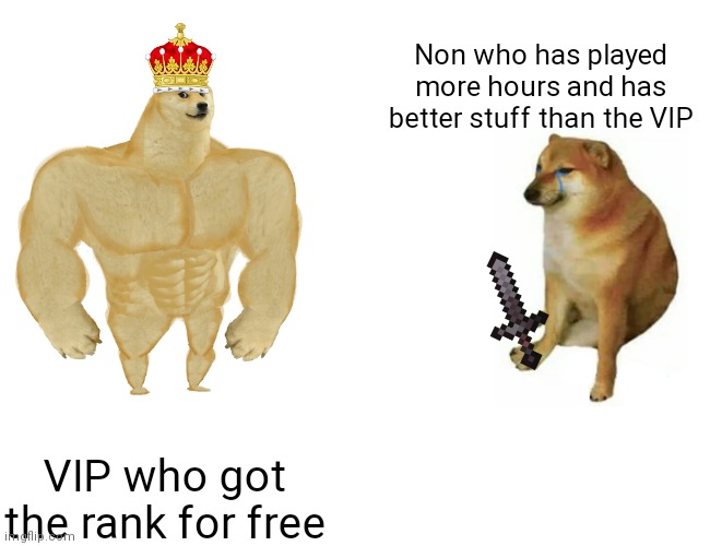 VIP = good | Non who has played more hours and has better stuff than the VIP; VIP who got the rank for free | image tagged in memes,buff doge vs cheems | made w/ Imgflip meme maker