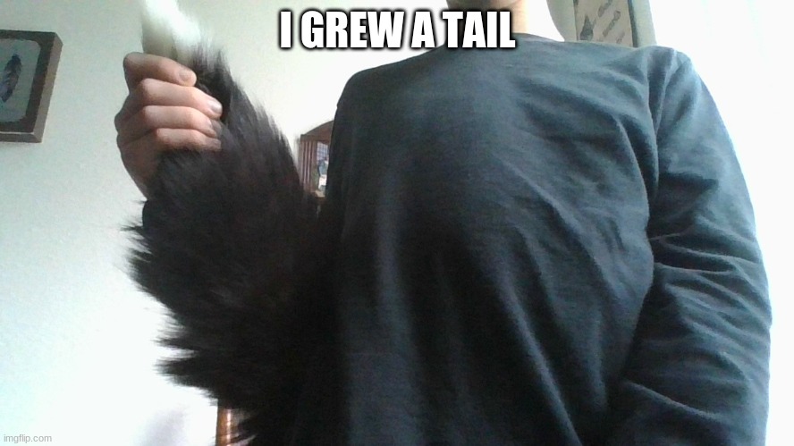 I got cursed. | I GREW A TAIL | image tagged in tails | made w/ Imgflip meme maker