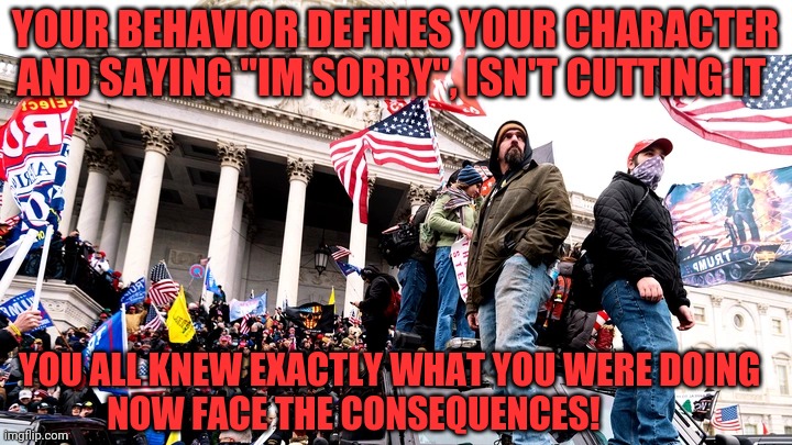 Capitol Riot | YOUR BEHAVIOR DEFINES YOUR CHARACTER AND SAYING "IM SORRY", ISN'T CUTTING IT; YOU ALL KNEW EXACTLY WHAT YOU WERE DOING          NOW FACE THE CONSEQUENCES! | image tagged in capitol riot | made w/ Imgflip meme maker