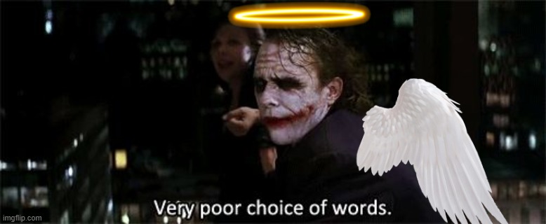 Very poor choice of words | image tagged in very poor choice of words | made w/ Imgflip meme maker