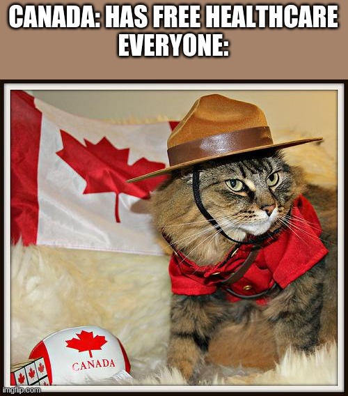 Canada Cat | CANADA: HAS FREE HEALTHCARE
EVERYONE: | image tagged in canada cat | made w/ Imgflip meme maker