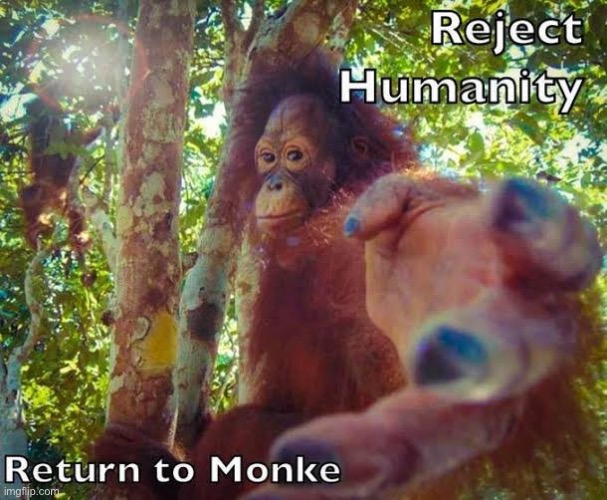 Come on guys! We must return to monke! | image tagged in return to monke | made w/ Imgflip meme maker