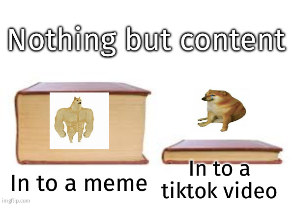 Content make the difference | Nothing but content; In to a tiktok video; In to a meme | image tagged in big book small book | made w/ Imgflip meme maker