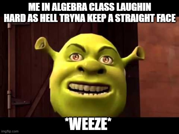 me tryna keep a straight face | ME IN ALGEBRA CLASS LAUGHIN HARD AS HELL TRYNA KEEP A STRAIGHT FACE; *WEEZE* | image tagged in shrek | made w/ Imgflip meme maker