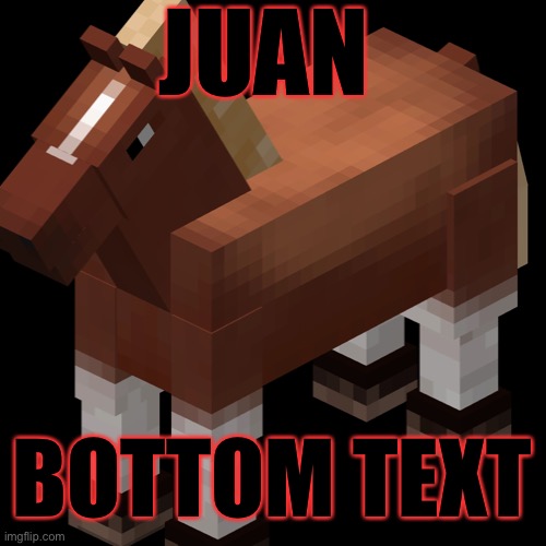 JUAN | JUAN; BOTTOM TEXT | image tagged in minecraft memes | made w/ Imgflip meme maker